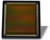 КМОП-матрица GPixel GSense4040